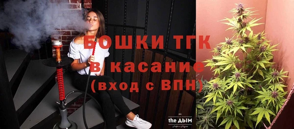 прущие крисы Болотное